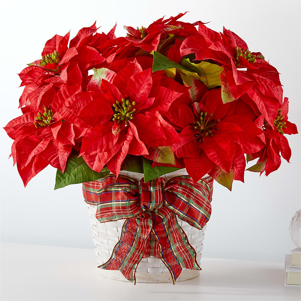 Happiest Holidays Poinsettia – Acme Floral #0014, Akron OH