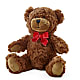 Adorable Plush Bear – Acme Floral #0014, Akron OH