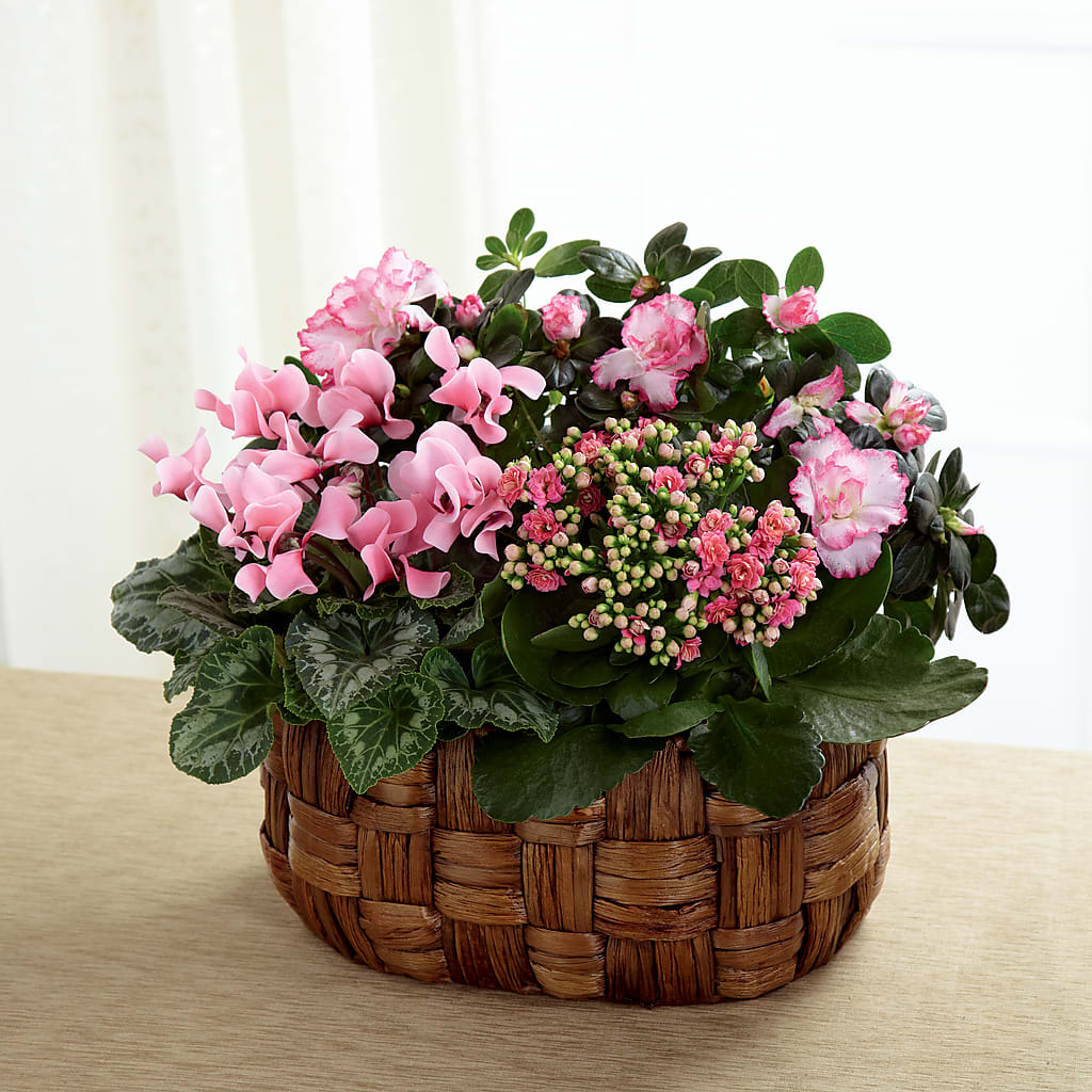 Pink Assortment – Acme Floral #0014, Akron OH