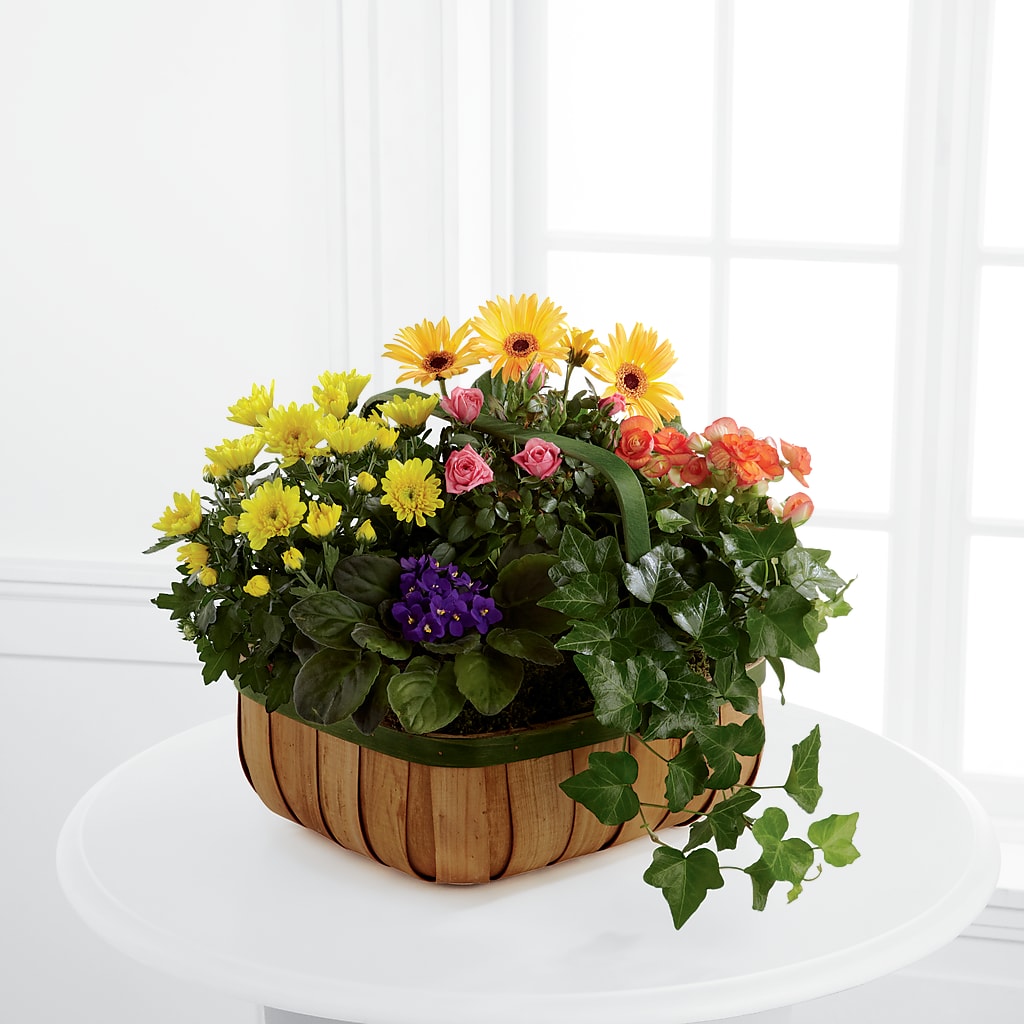 Gentle Blossoms Basket – Acme Floral #0014, Akron OH