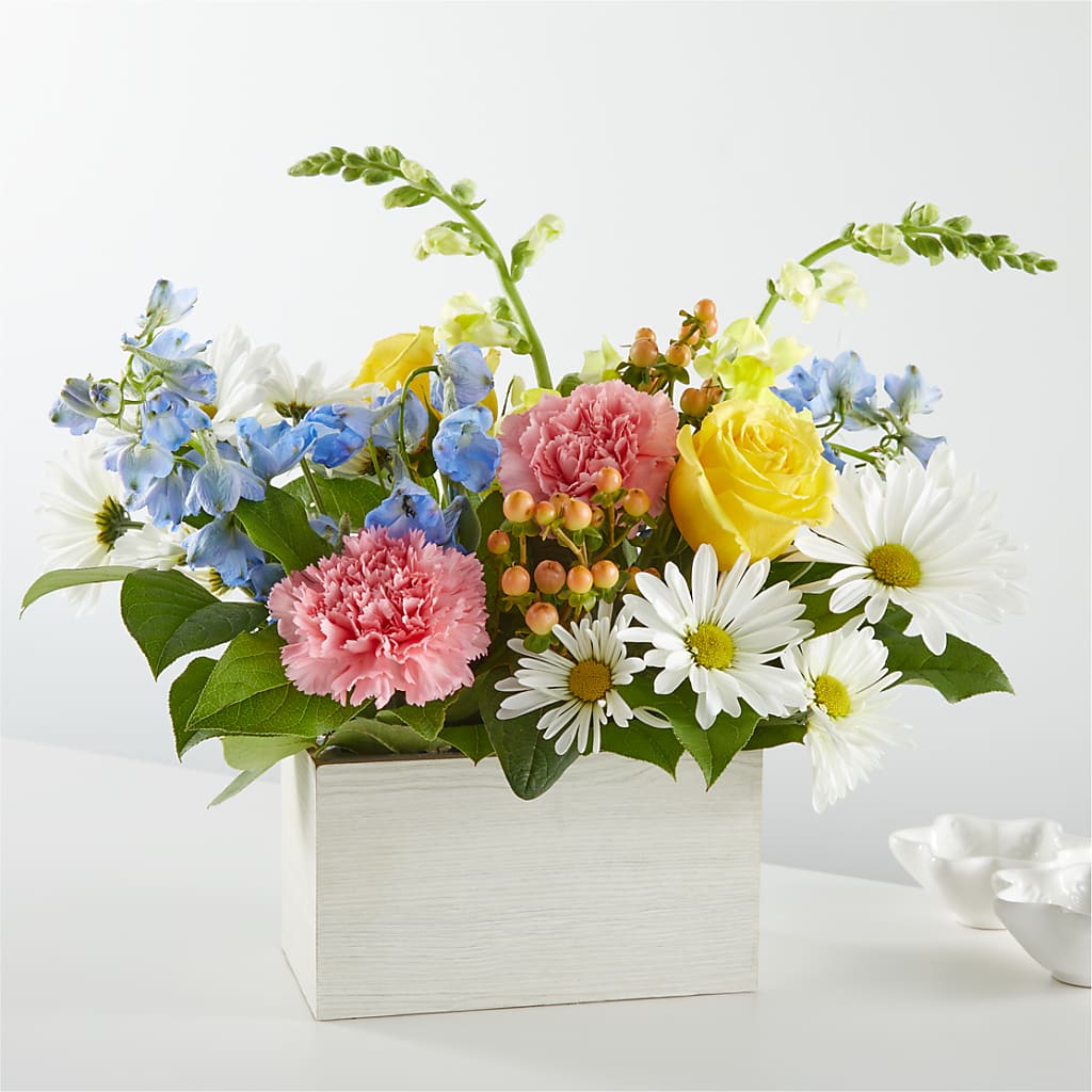 Sun Salutation Box Bouquet – Acme Floral #0014, Akron OH
