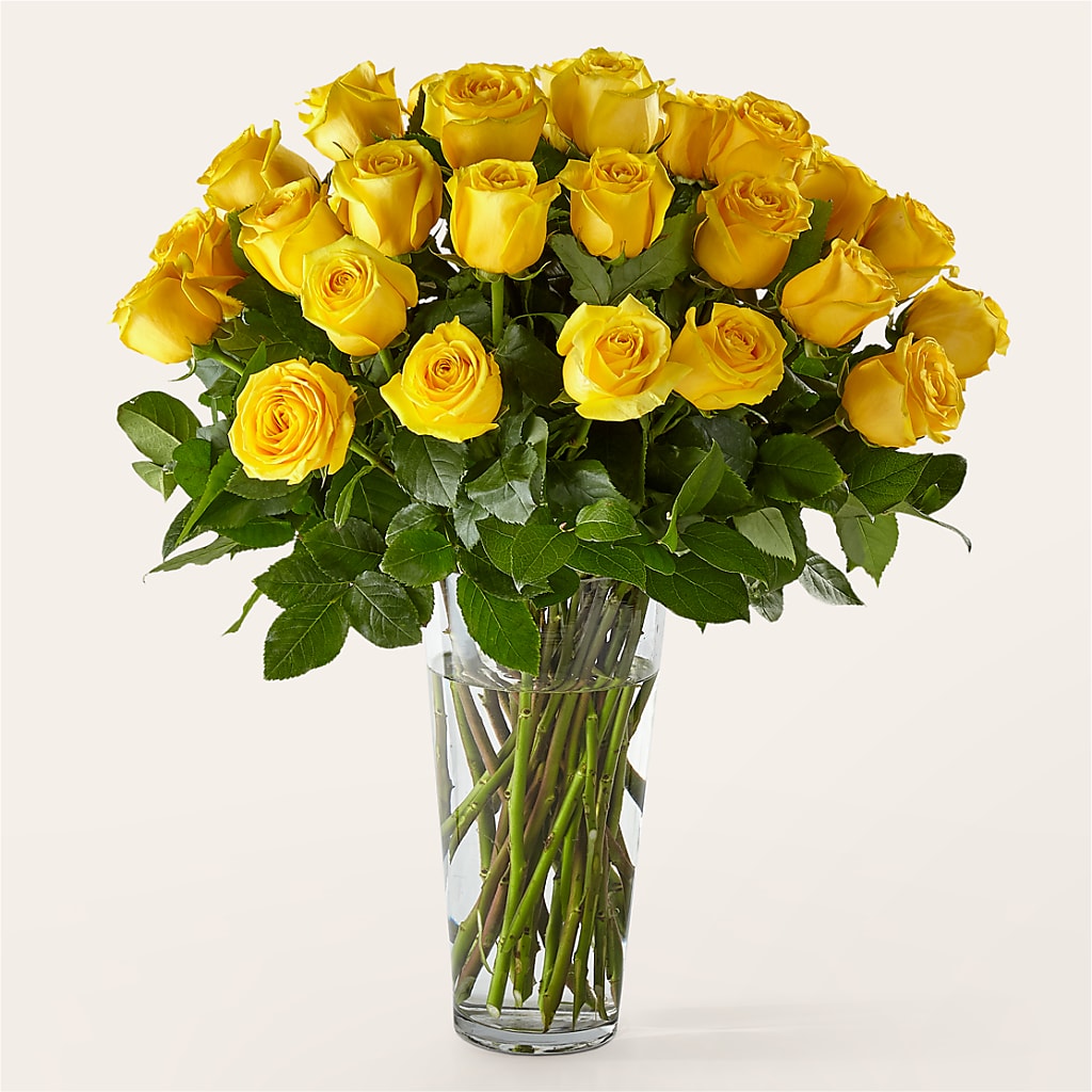 Long Stem Yellow Rose Bouquet – Acme Floral #0014, Akron OH