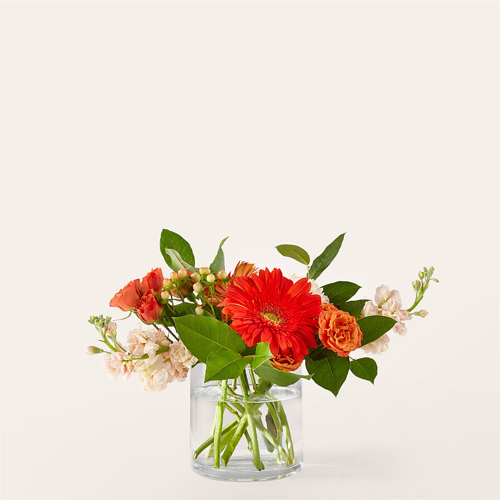 Paloma Please Bouquet – Acme Floral #0014, Akron OH