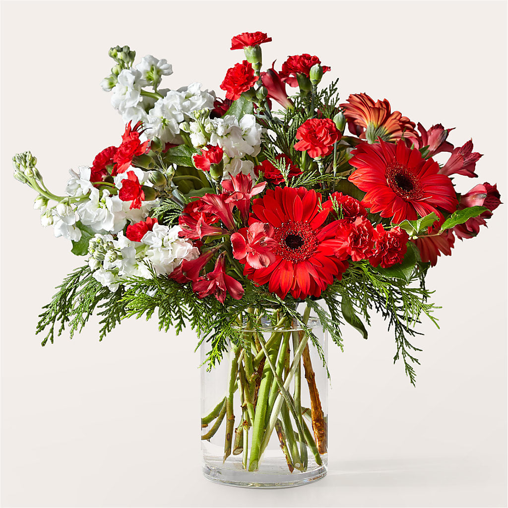 Holidaisy Bouquet – Acme Floral #0014, Akron OH