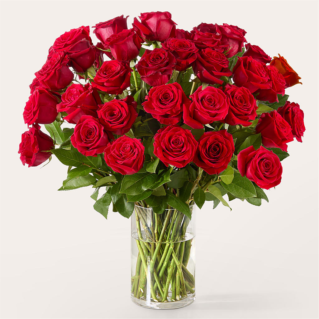 The One Red Rose Bouquet – Acme Floral #0014, Akron OH