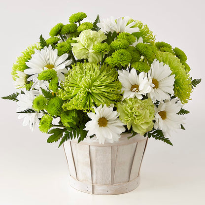 Lucky Charm Basket (Standard) –  Acme Floral #0014, Akron OH