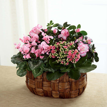 Pink Assortment –  Acme Floral #0014, Akron OH