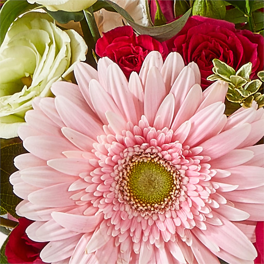 Too Cute Bouquet –  Acme Floral #0014, Akron OH