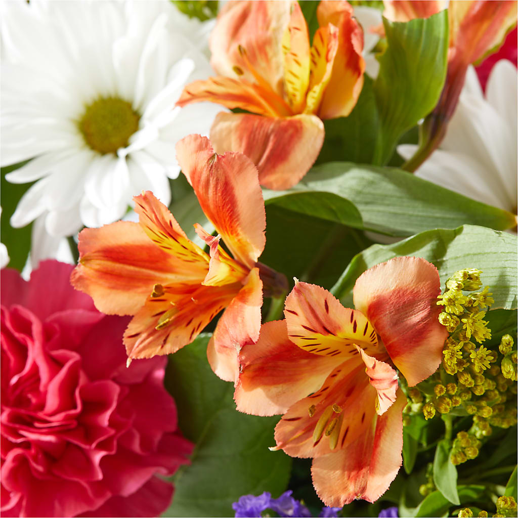 Oopsie Daisy Box Bouquet –  Acme Floral #0014, Akron OH