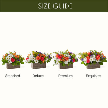 Oopsie Daisy Box Bouquet –  Acme Floral #0014, Akron OH