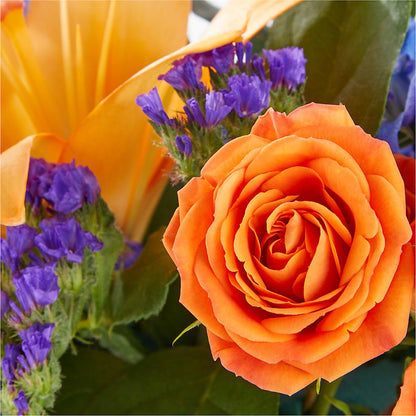 Radiant Citrus Box Bouquet –  Acme Floral #0014, Akron OH