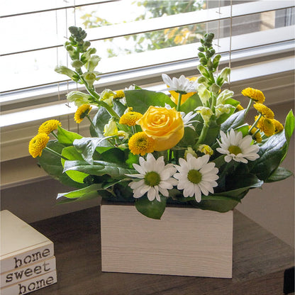 Sun Salutation Box Bouquet –  Acme Floral #0014, Akron OH