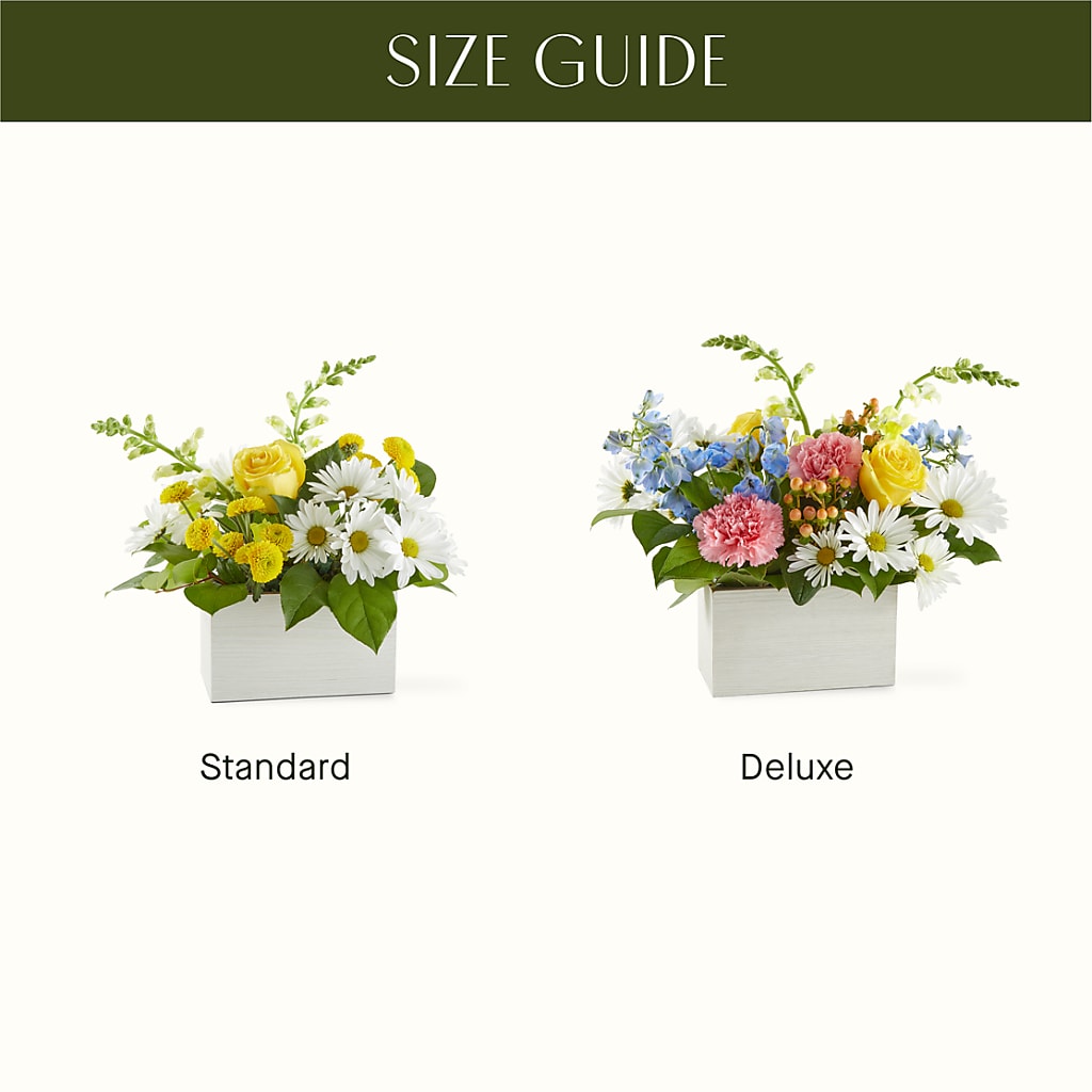Sun Salutation Box Bouquet –  Acme Floral #0014, Akron OH