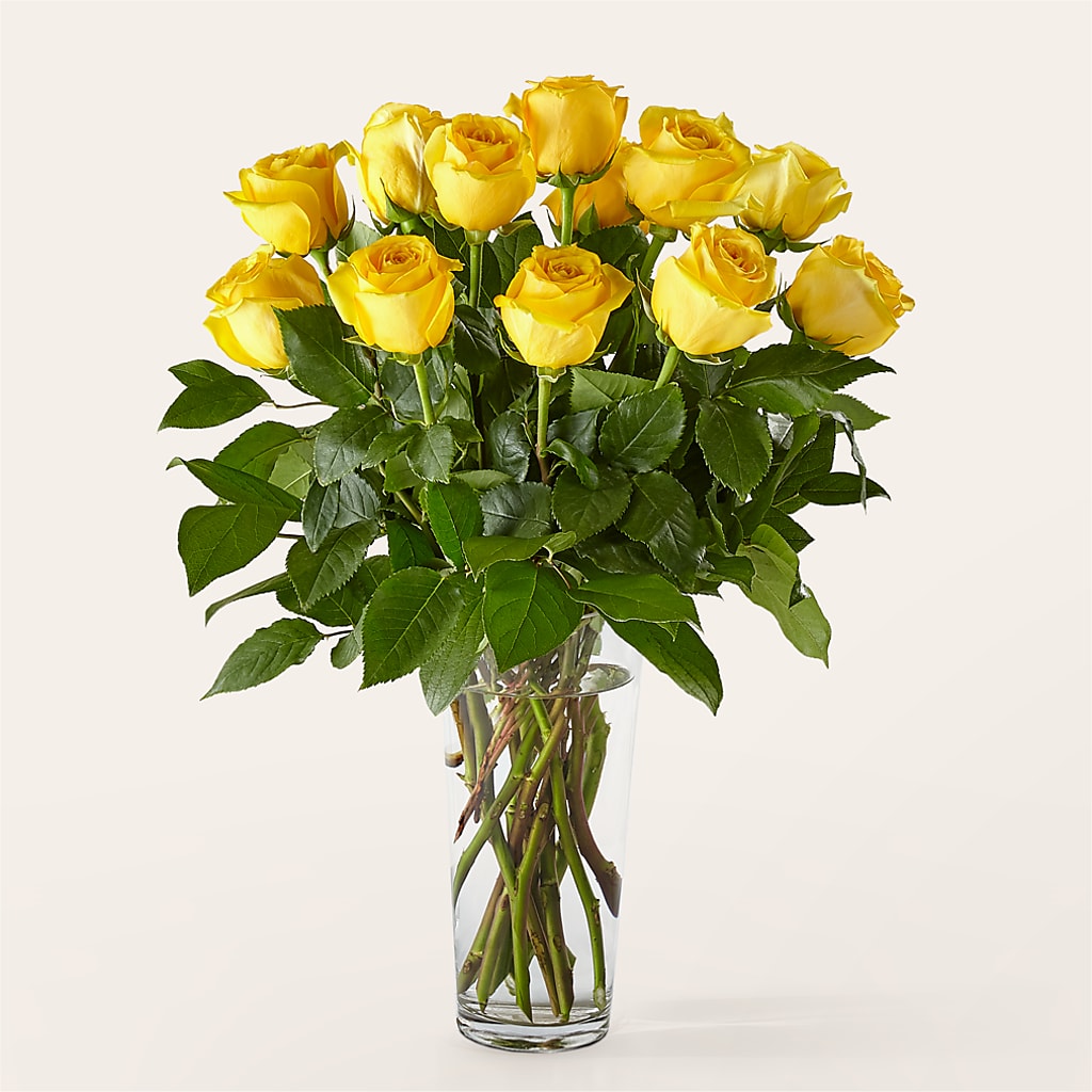 Long Stem Yellow Rose Bouquet –  Acme Floral #0014, Akron OH