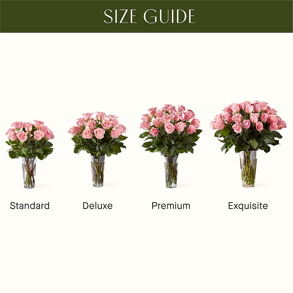 Long Stem Pink Rose Bouquet –  Acme Floral #0014, Akron OH