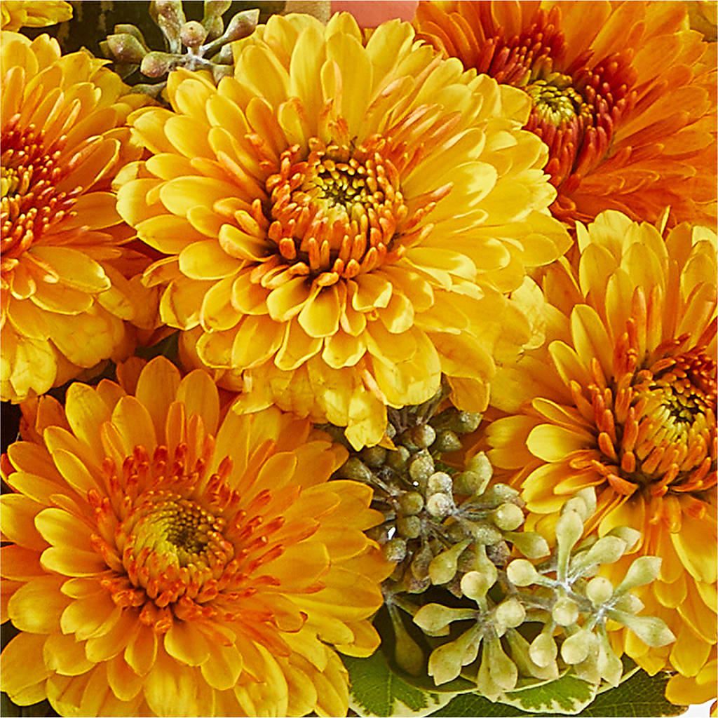 Peachy Pumpkin –  Acme Floral #0014, Akron OH