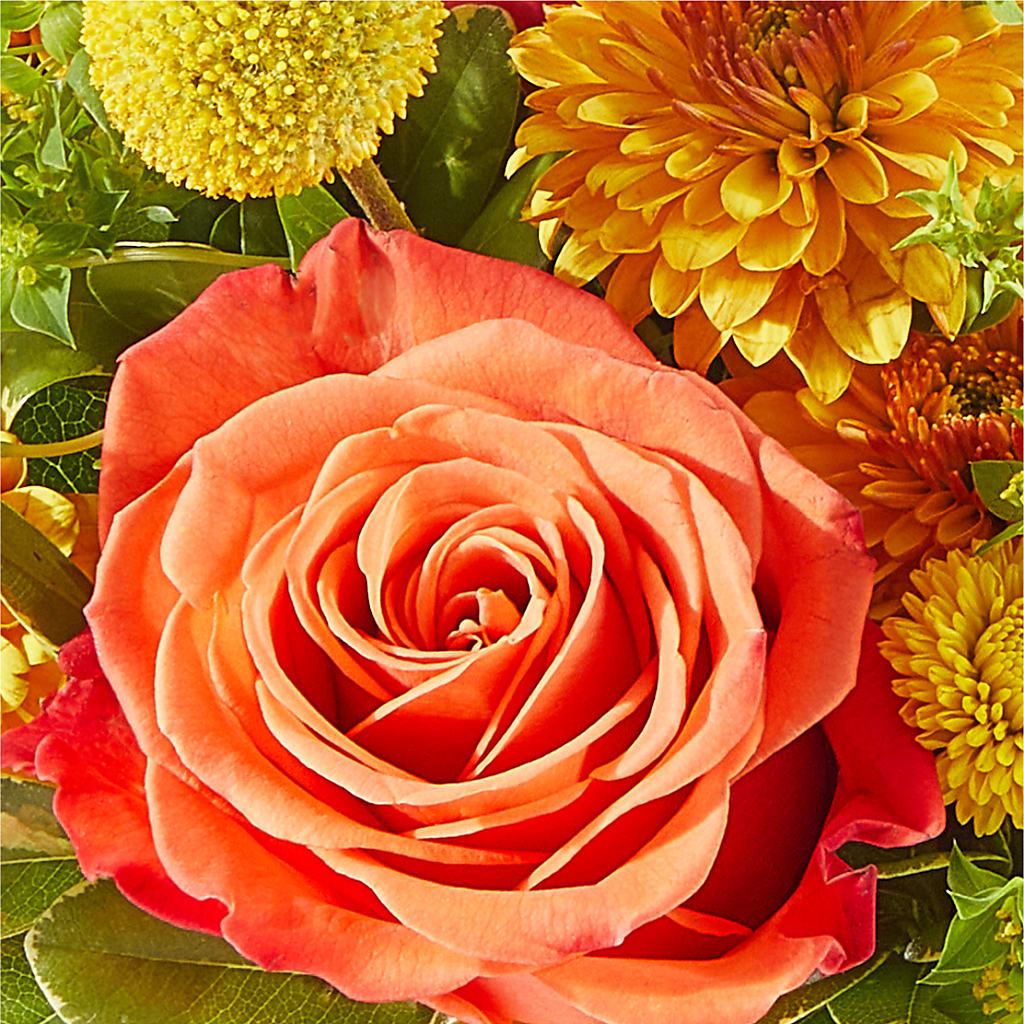 Gourdgeous Pumpkin –  Acme Floral #0014, Akron OH