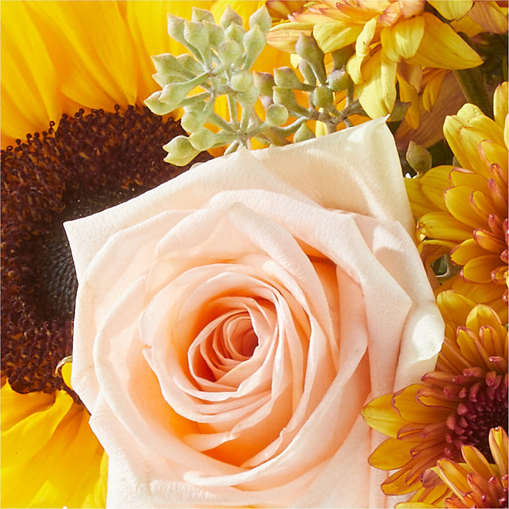 Pumpkin to Talk About Bouquet –  Acme Floral #0014, Akron OH