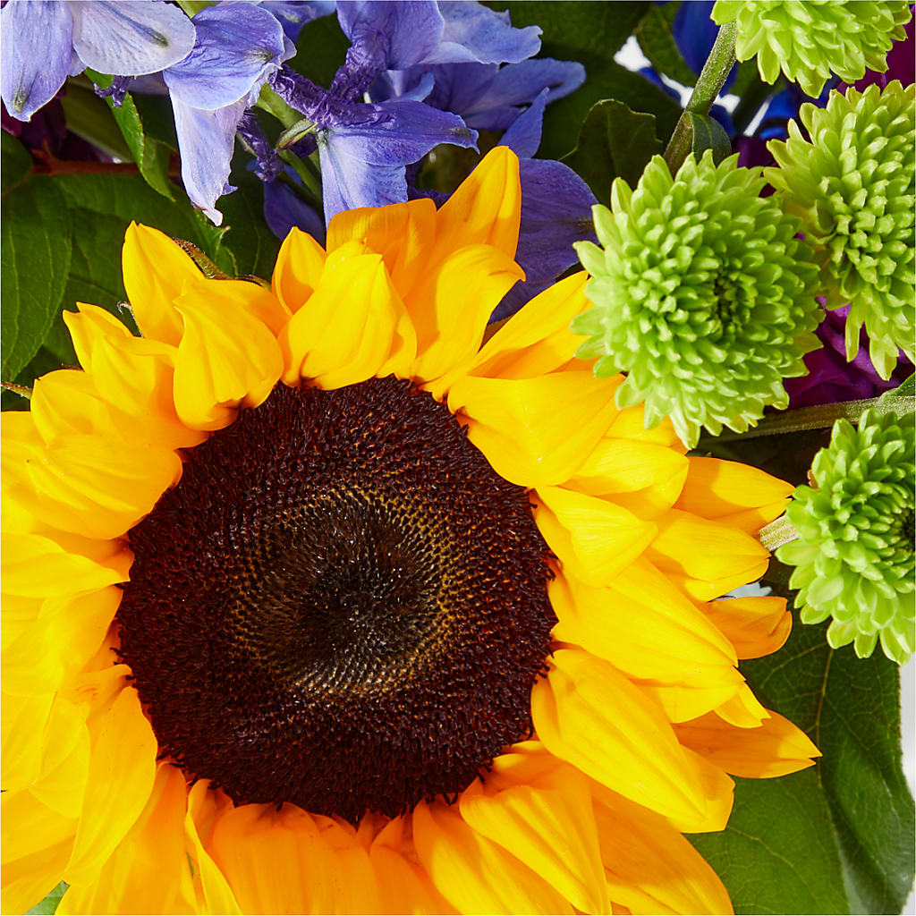 Catching Rays Bouquet –  Acme Floral #0014, Akron OH