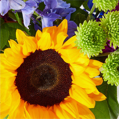 Catching Rays Bouquet –  Acme Floral #0014, Akron OH