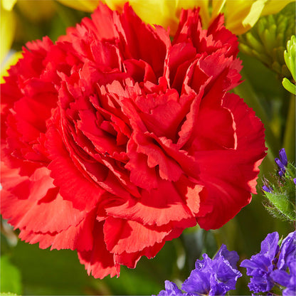 Brighter Days Bouquet –  Acme Floral #0014, Akron OH