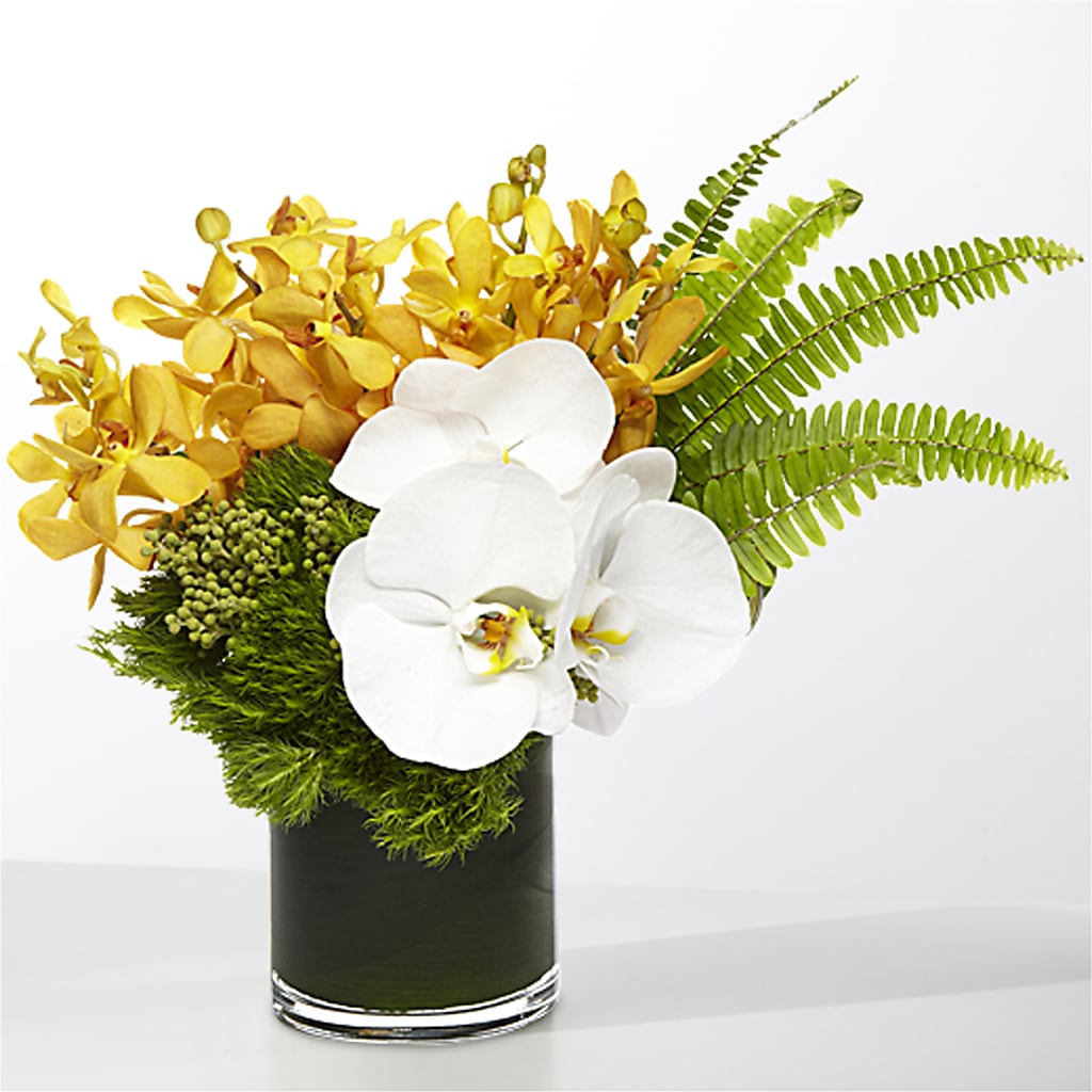 The Tropics –  Acme Floral #0014, Akron OH