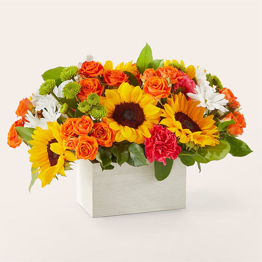 Sun-drenched Blooms Box Bouquet –  Acme Floral #0014, Akron OH