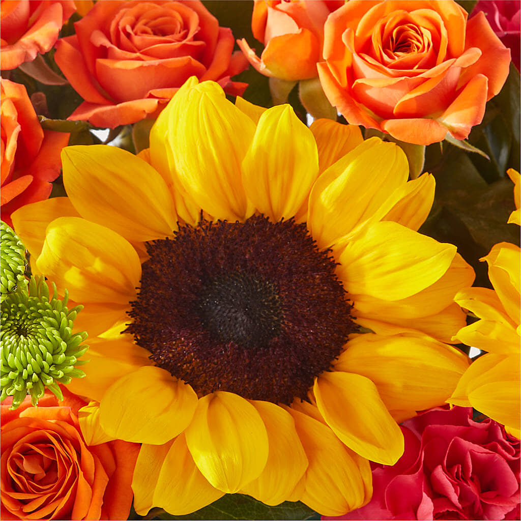 Sun-drenched Blooms Box Bouquet –  Acme Floral #0014, Akron OH