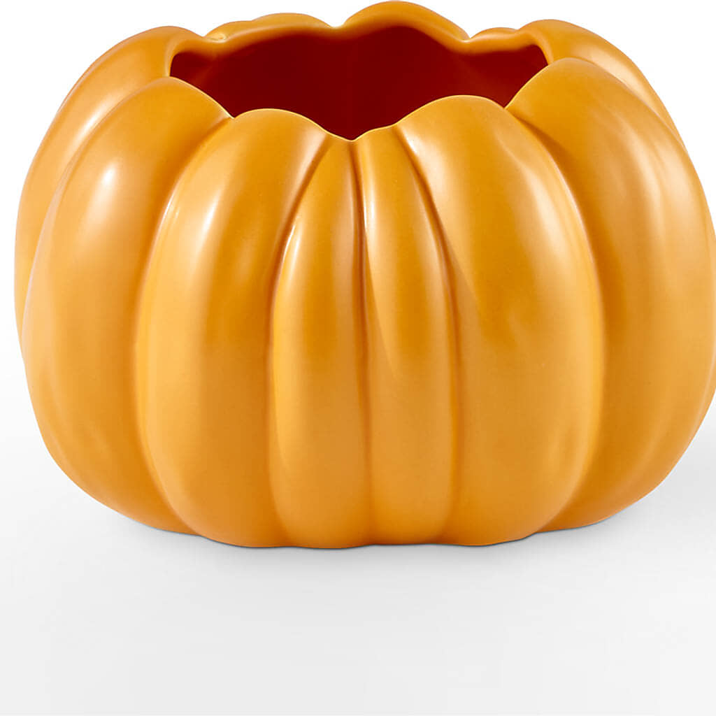 Golden Gourd Pumpkin Bouquet –  Acme Floral #0014, Akron OH