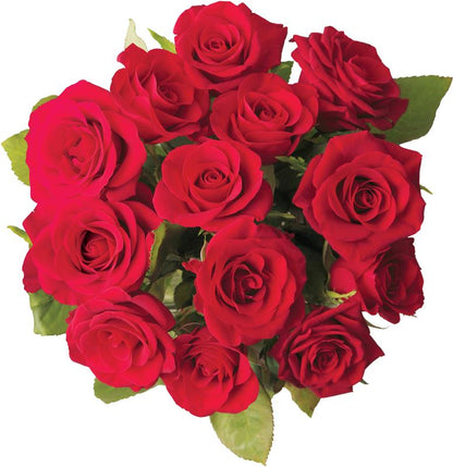 Emerald Collection Rose Bouquet –  Acme Floral #0014, Akron OH