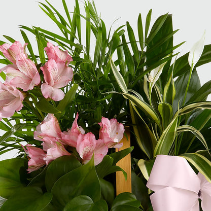 Living Spirit Dishgarden –  Acme Floral #0014, Akron OH
