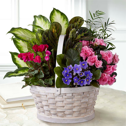 Peaceful Garden Planter –  Acme Floral #0014, Akron OH