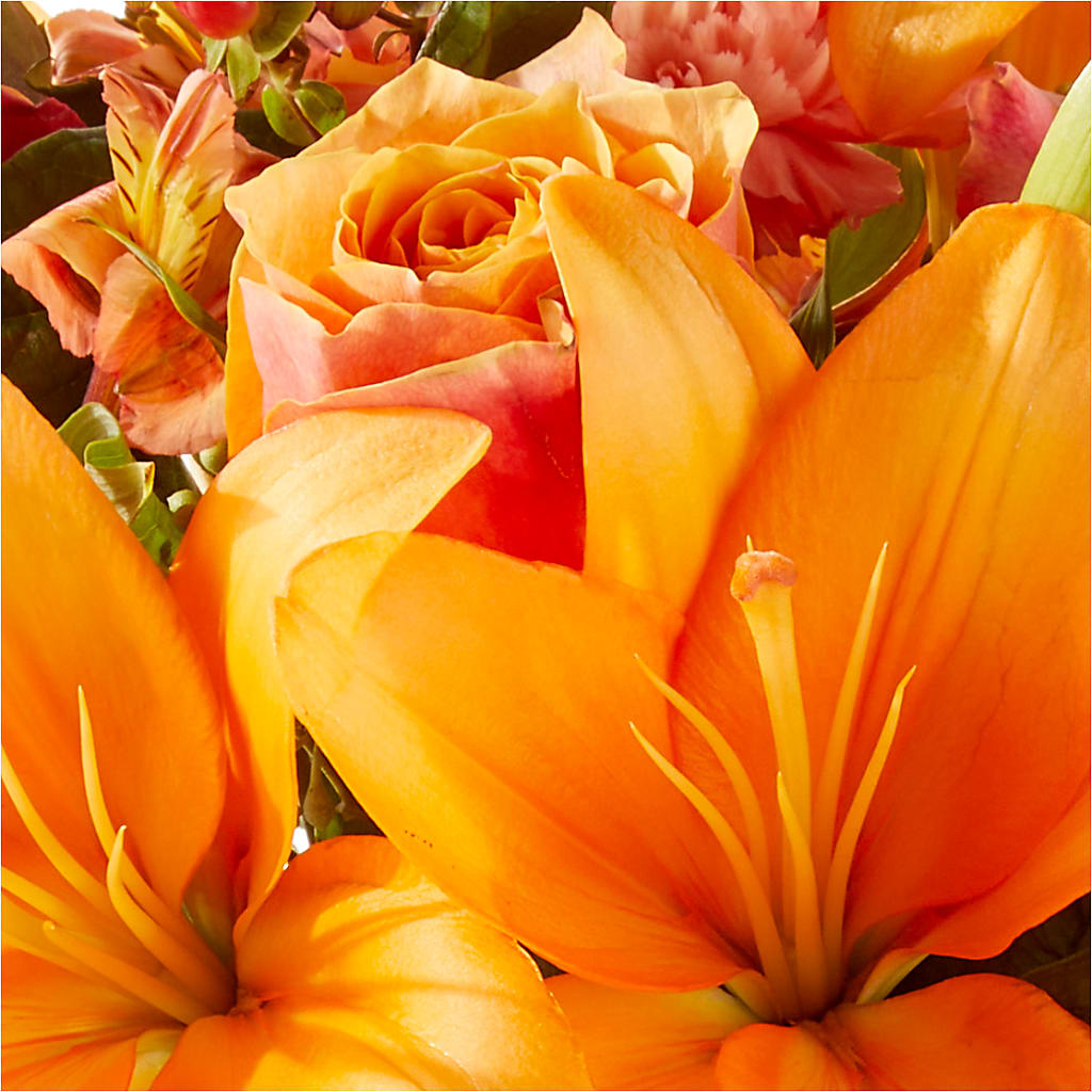 Afternoon Light Bouquet –  Acme Floral #0014, Akron OH