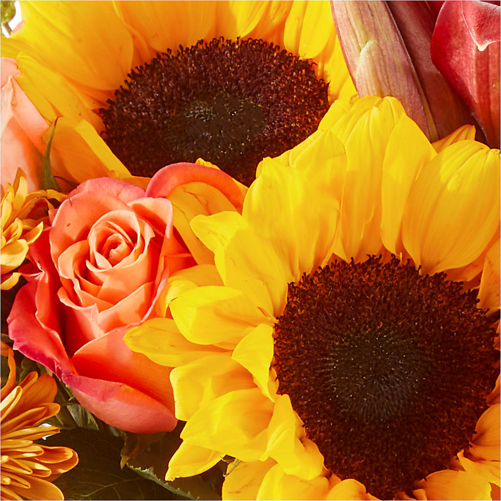 Acorn Lane Bouquet –  Acme Floral #0014, Akron OH