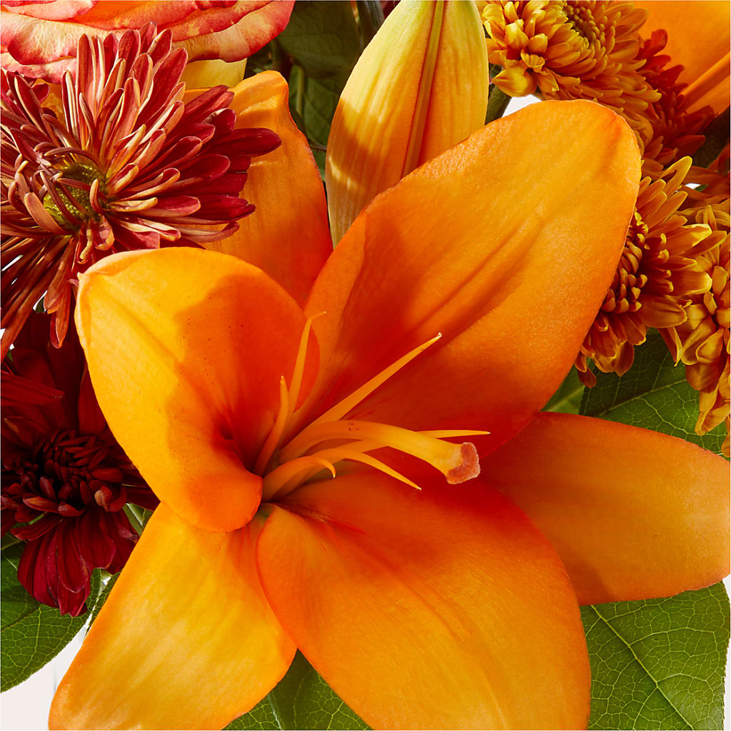 Autumnal Aroma Bouquet –  Acme Floral #0014, Akron OH
