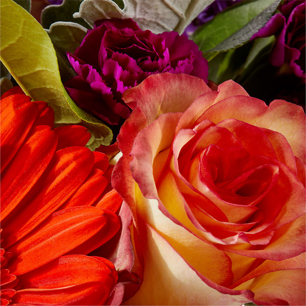 Sangria Bouquet –  Acme Floral #0014, Akron OH