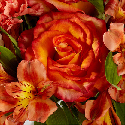 Apricot Glow Bouquet –  Acme Floral #0014, Akron OH