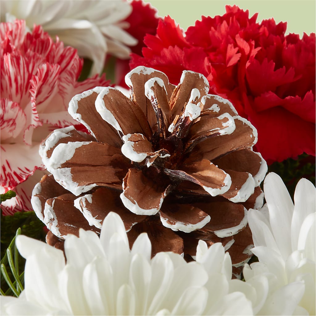 Candy Cane Lane Bouquet –  Acme Floral #0014, Akron OH