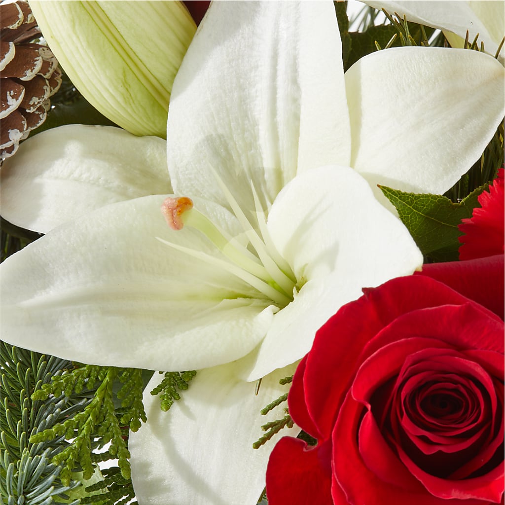 Oh So Jolly Bouquet –  Acme Floral #0014, Akron OH