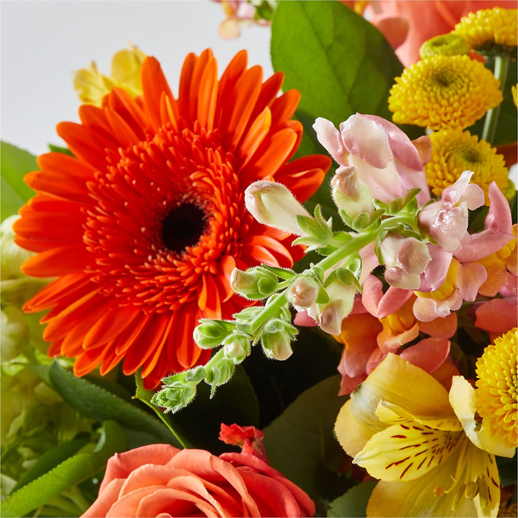 Autumn Sunshine Bouquet –  Acme Floral #0014, Akron OH