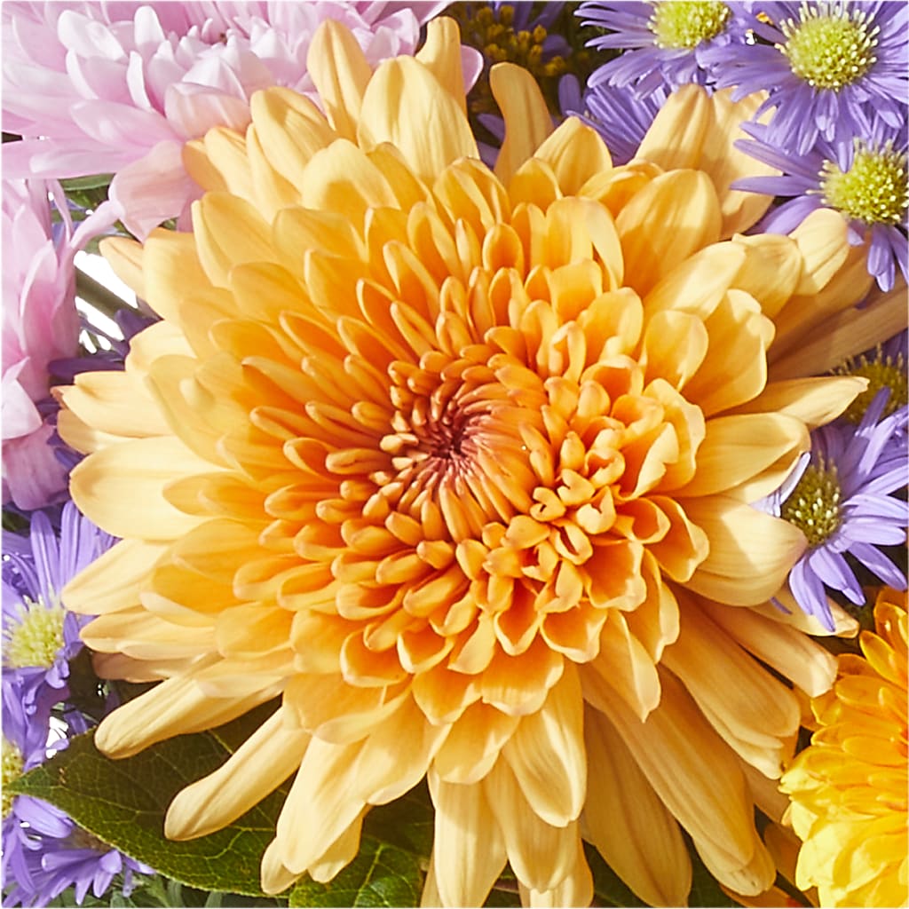 Countryside Bouquet –  Acme Floral #0014, Akron OH