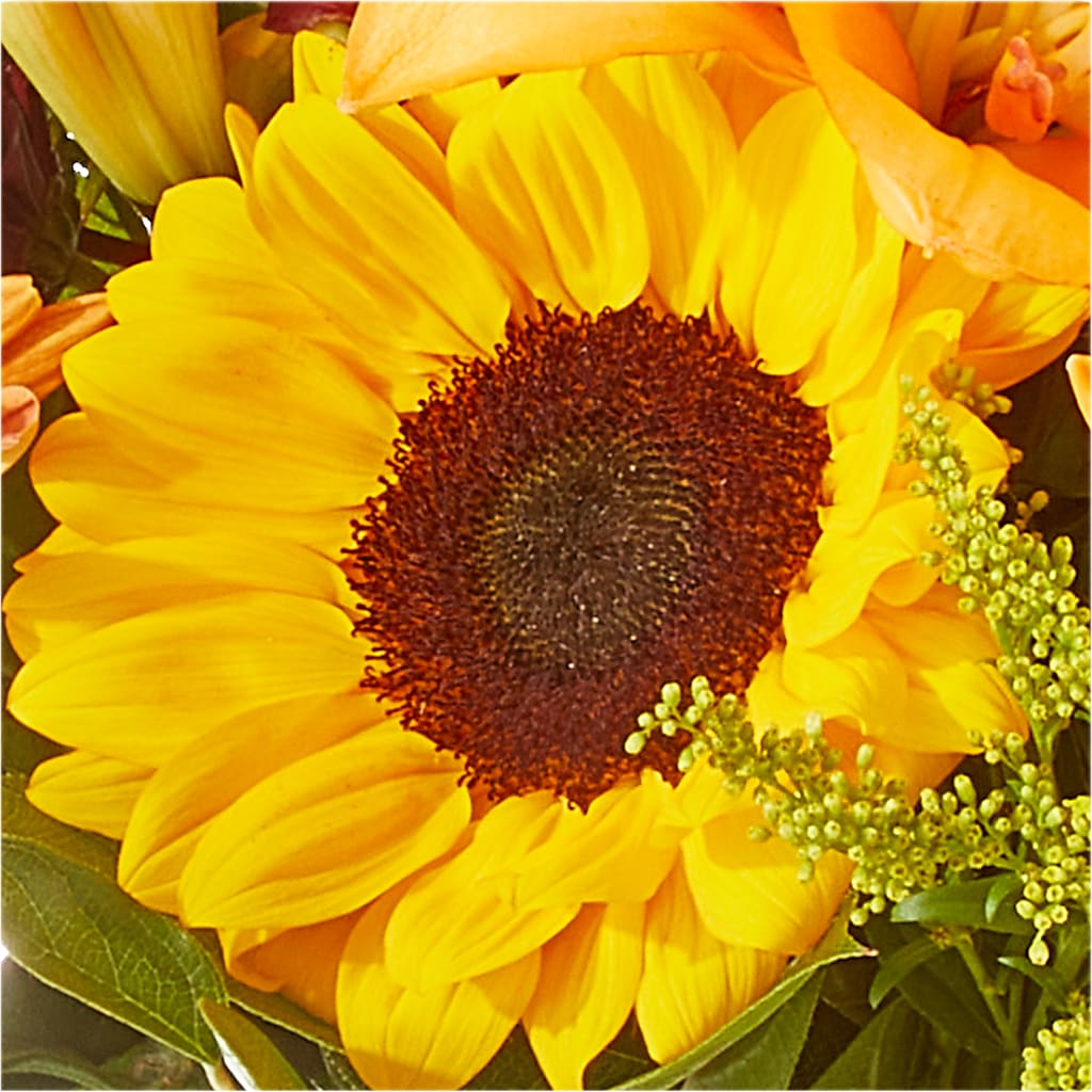 Seasons Change Bouquet –  Acme Floral #0014, Akron OH
