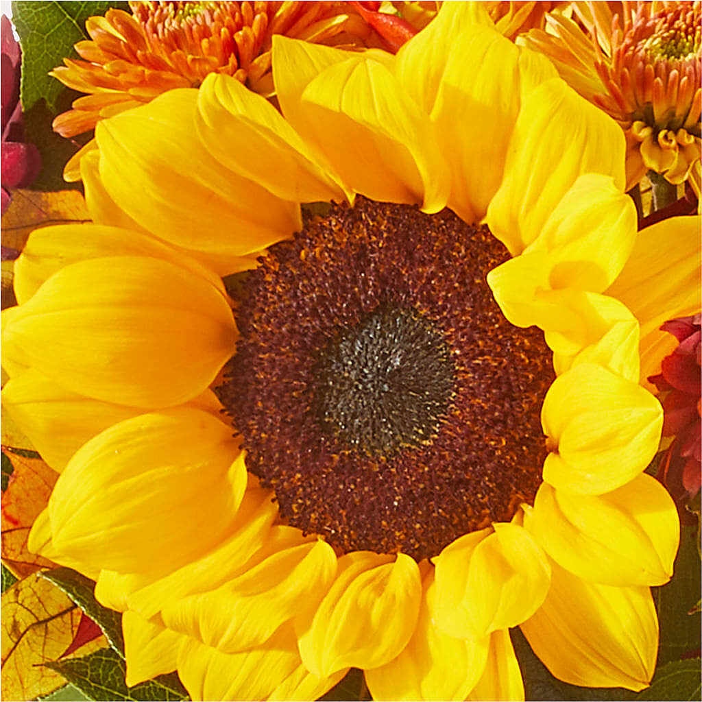 Sunny Side Bouquet –  Acme Floral #0014, Akron OH