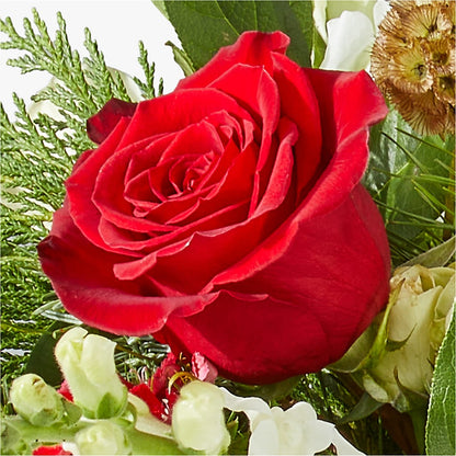 Deck the Halls Bouquet –  Acme Floral #0014, Akron OH