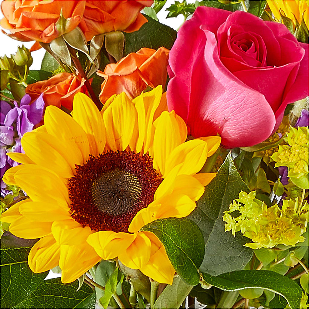 Vibrant Greetings Bouquet –  Acme Floral #0014, Akron OH