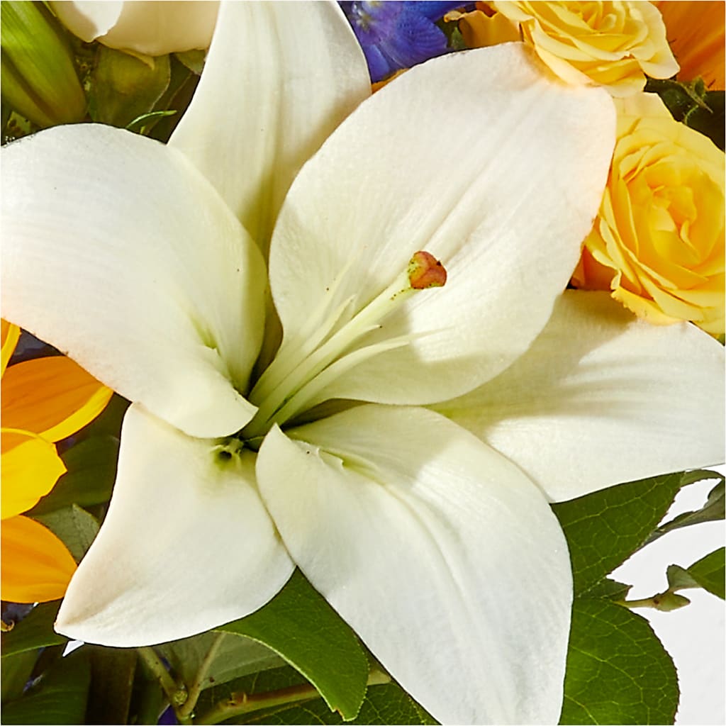 Wonderfully Sunny Bouquet –  Acme Floral #0014, Akron OH
