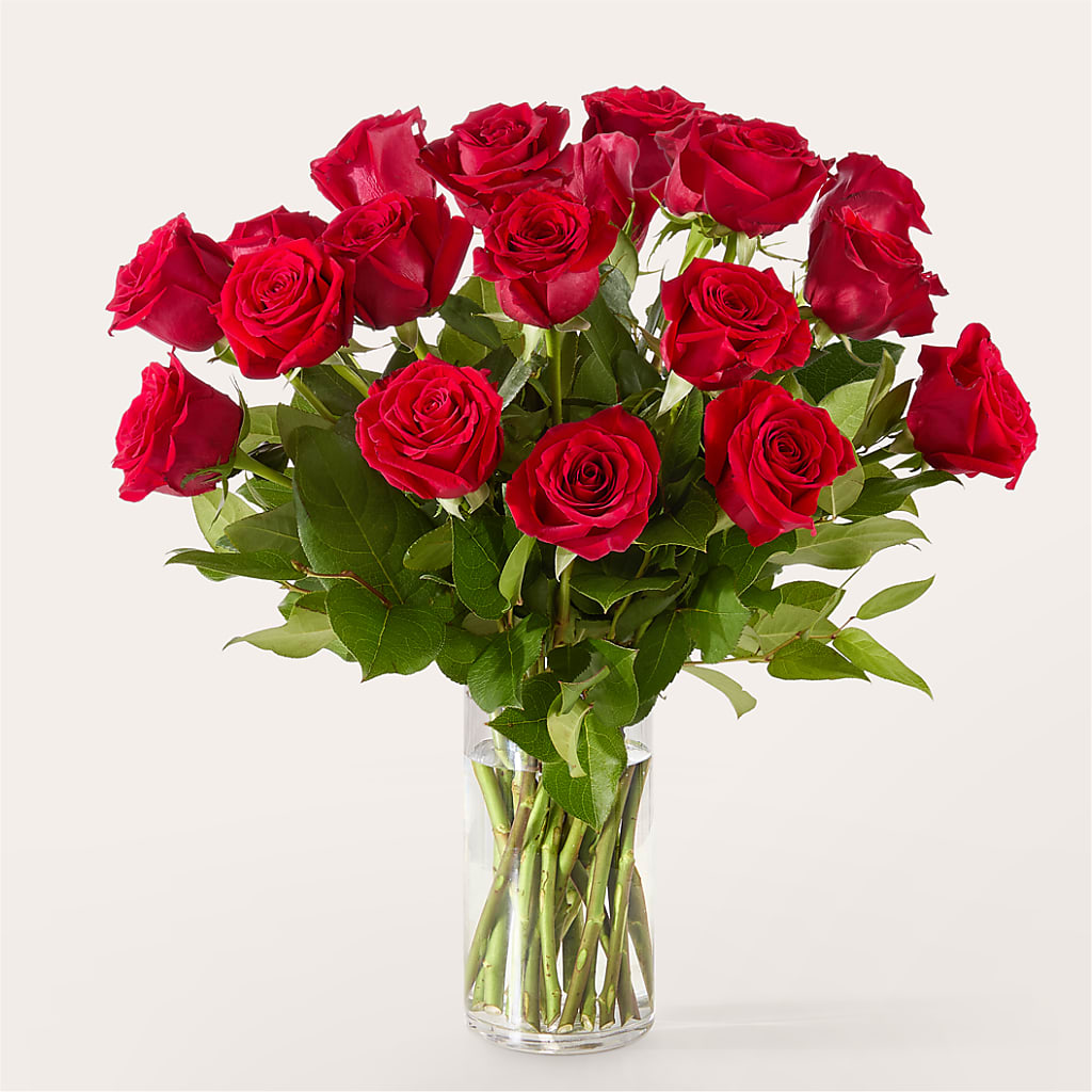 The One Red Rose Bouquet –  Acme Floral #0014, Akron OH