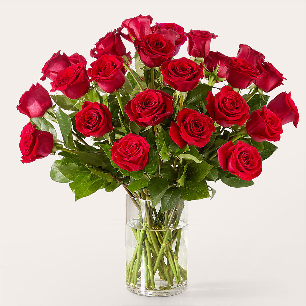 The One Red Rose Bouquet –  Acme Floral #0014, Akron OH